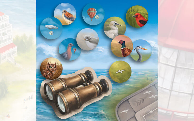 cape may by thunderworks games bird tokens binoculars